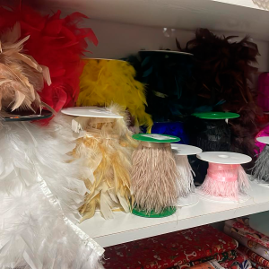 plumas Inicio
